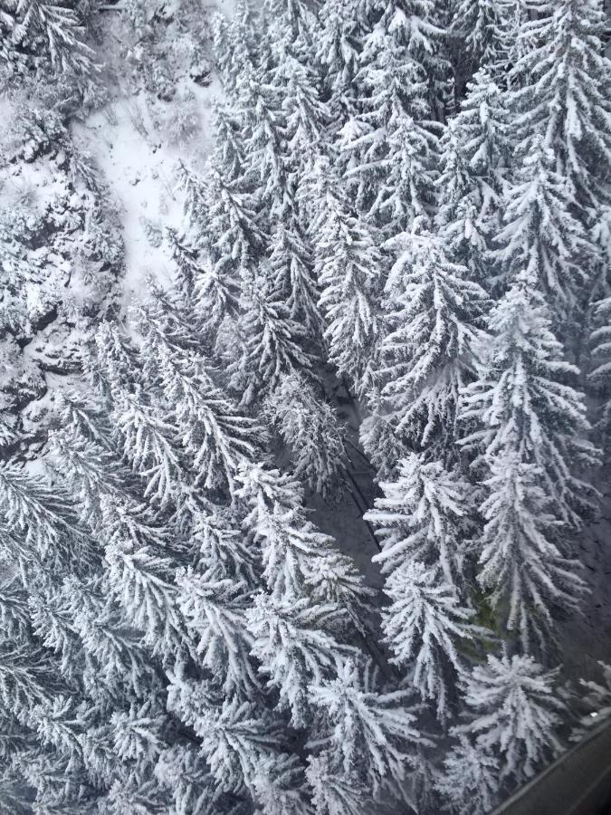 Lodge Hideout Morzine